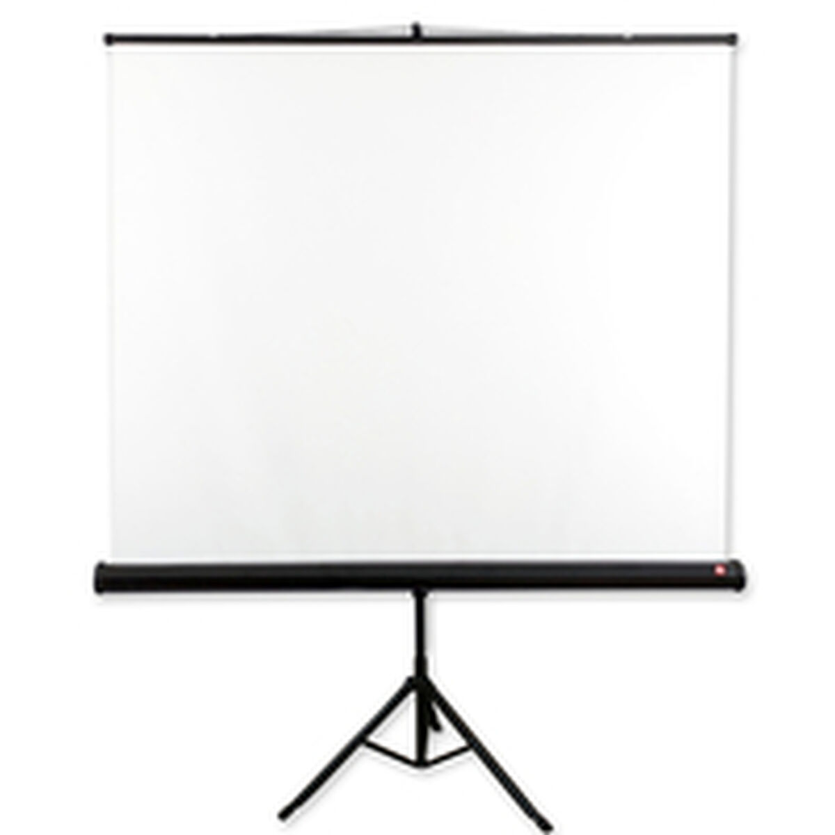 Écran de Projection pour Ordinateur Avtek Tripod Standard 200